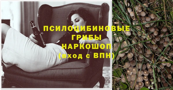 марихуана Богородицк