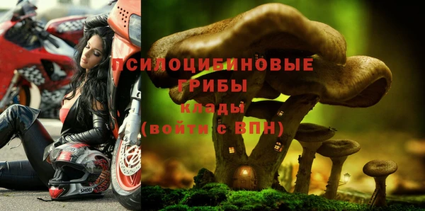 героин Богданович