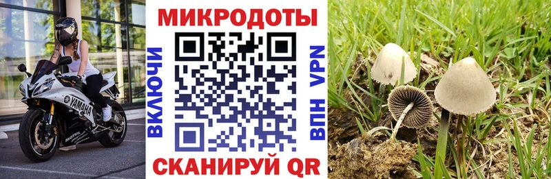 Псилоцибиновые грибы Magic Shrooms  как найти закладки  Берёзовка 
